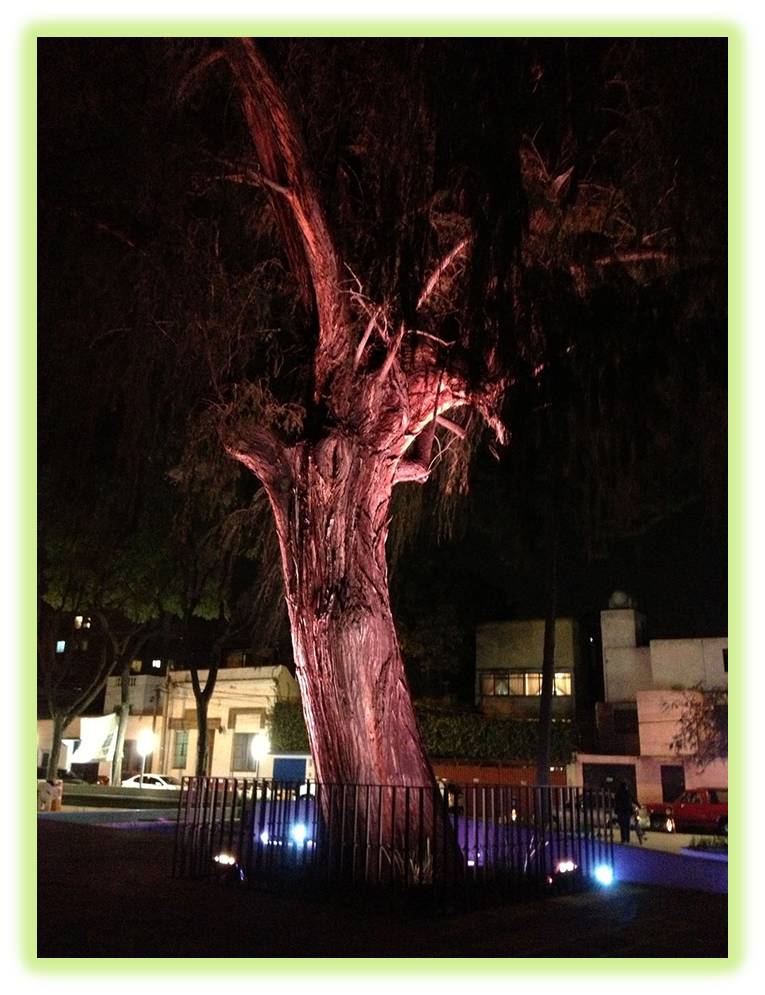 Plaza Cívica Árbol de La Noche Triste - HB LEDS